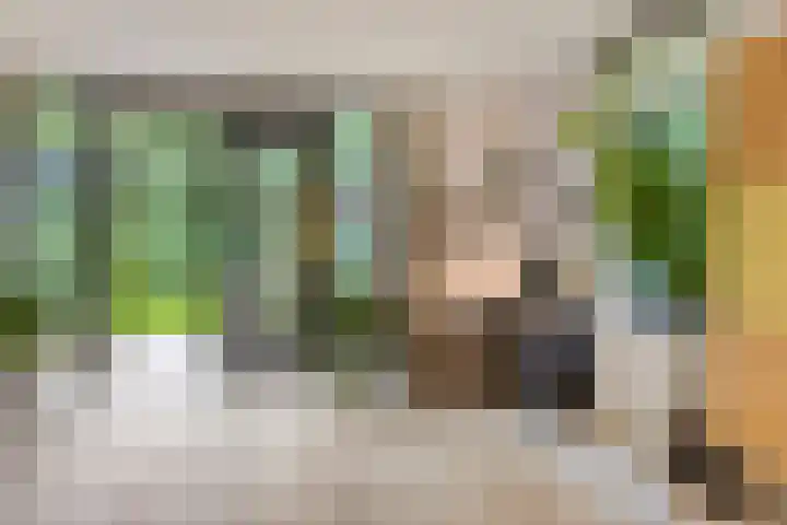 Almenseweg 6 Warnsveld thumbnail 19