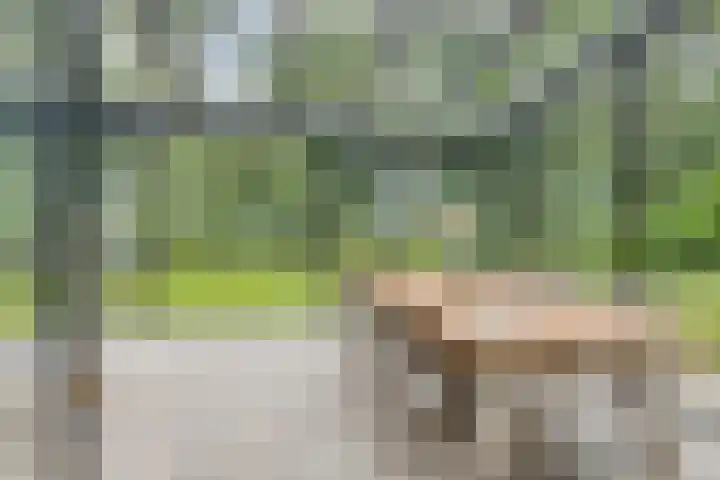 Almenseweg 6 Warnsveld thumbnail 27