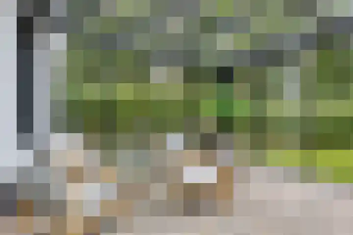 Almenseweg 6 Warnsveld thumbnail 28