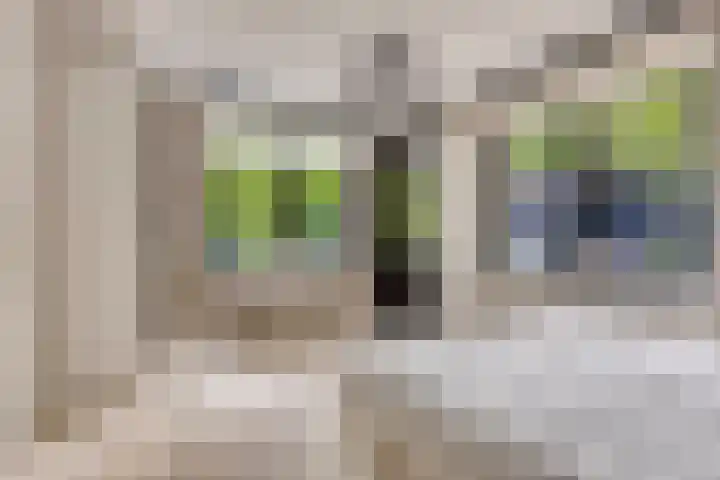 Almenseweg 6 Warnsveld thumbnail 33