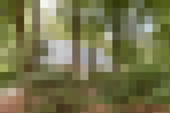 Almenseweg 6 Warnsveld thumbnail 5