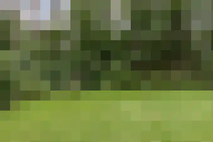 Almenseweg 6 Warnsveld thumbnail 52