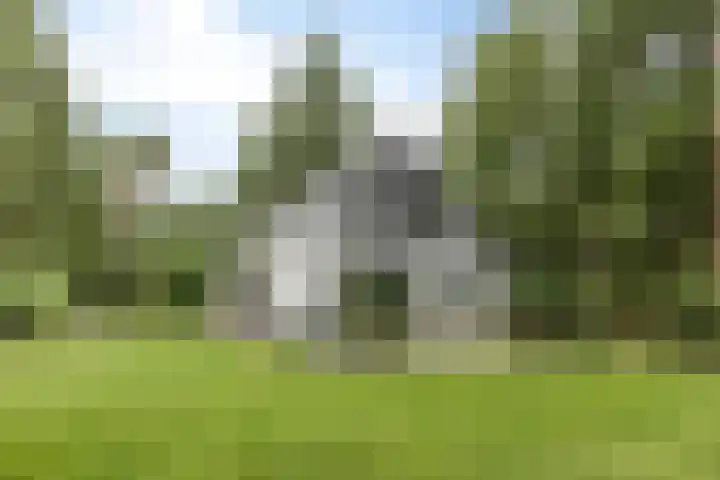 Almenseweg 6 Warnsveld thumbnail 53