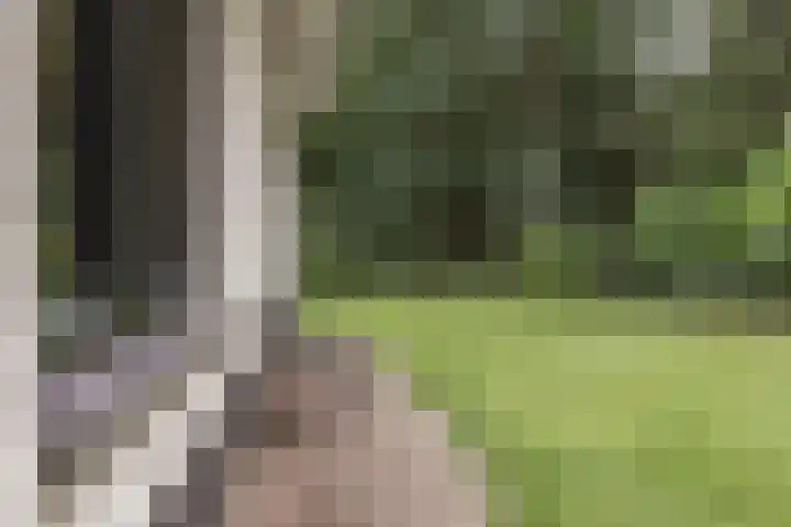 Almenseweg 6 Warnsveld thumbnail 55