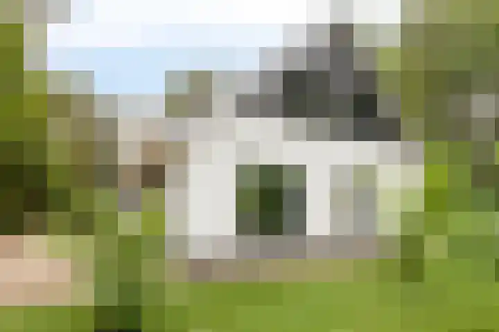 Almenseweg 6 Warnsveld thumbnail 58