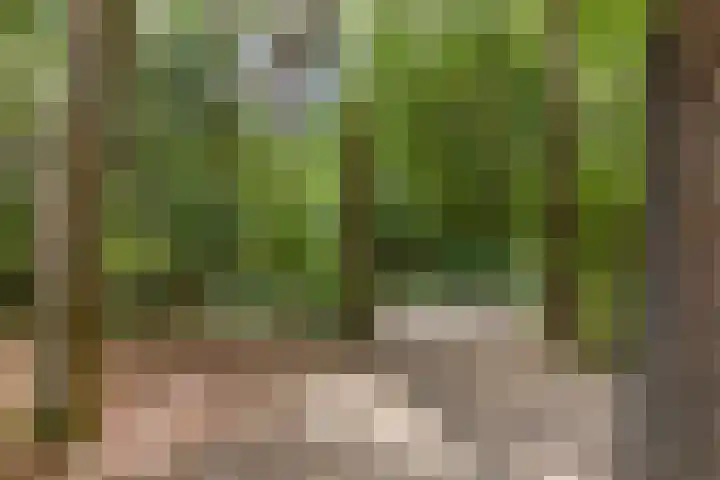 Almenseweg 6 Warnsveld thumbnail 6