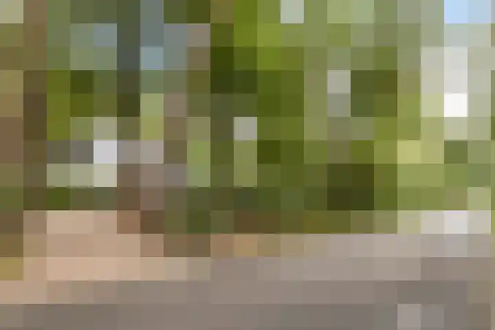 Almenseweg 6 Warnsveld thumbnail 62