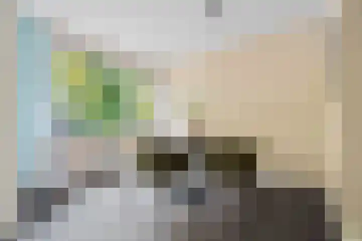 Almenseweg 6 Warnsveld thumbnail 73