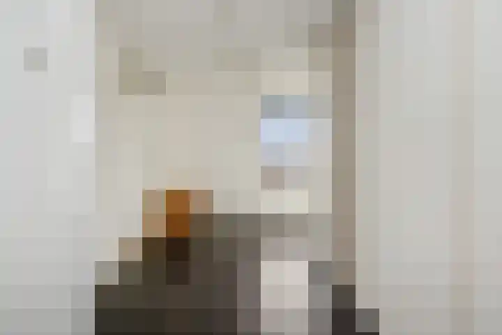 Almstein 19 Oss thumbnail 11