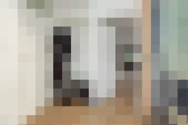 Almstein 19 Oss thumbnail 13