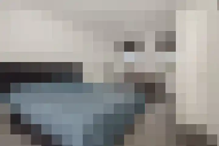 Almstein 19 Oss thumbnail 15