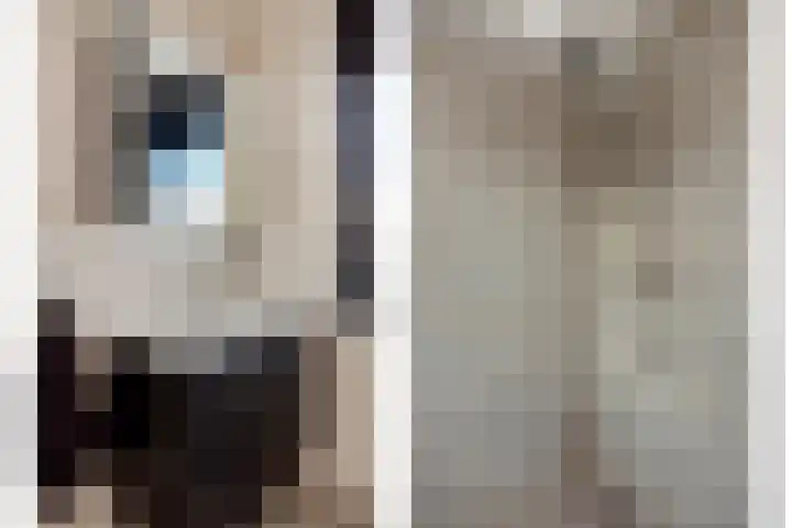Almstein 19 Oss thumbnail 18