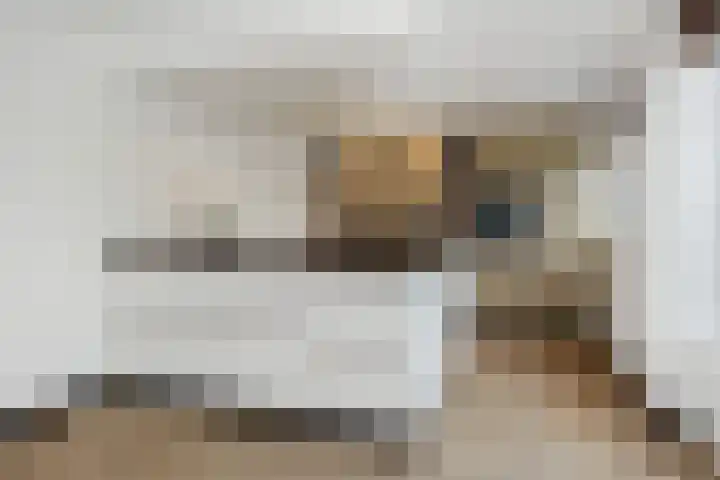 Almstein 19 Oss foto 2