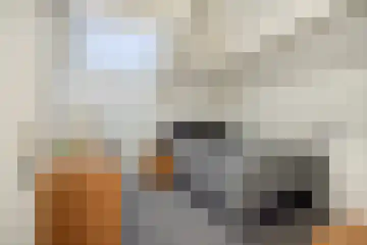 Almstein 19 Oss thumbnail 21