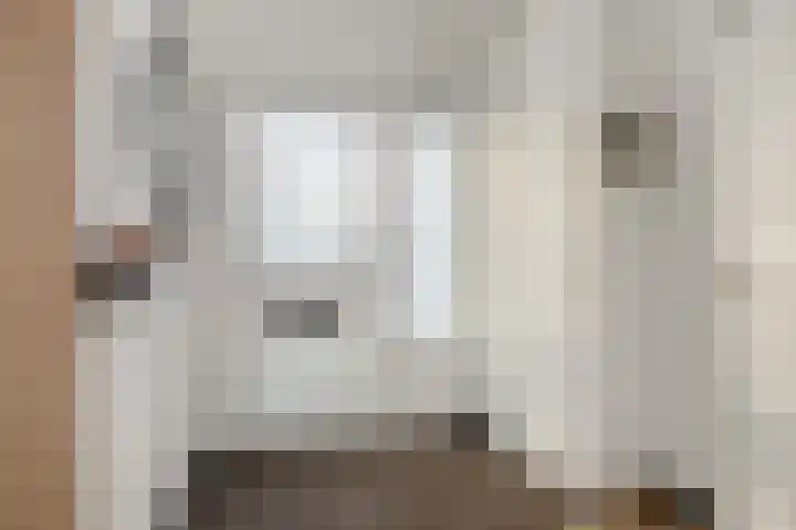 Almstein 19 Oss thumbnail 24