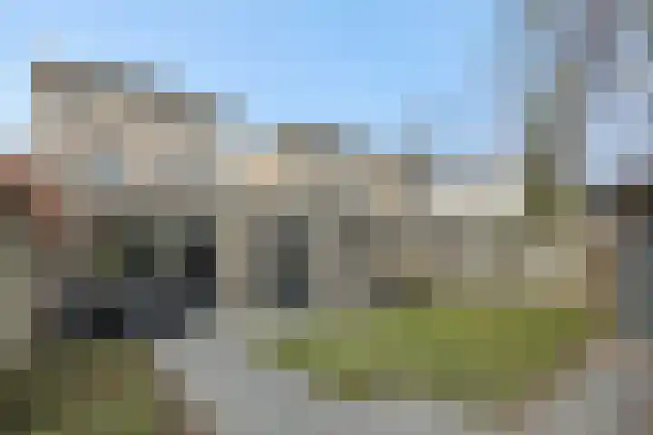 Almstein 19 Oss thumbnail 25