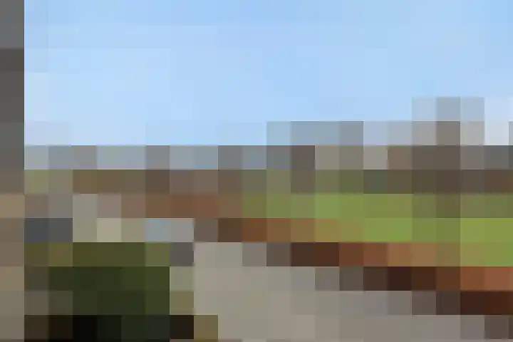 Almstein 19 Oss thumbnail 32