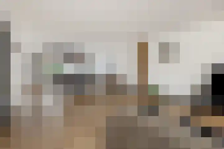 Almstein 19 Oss thumbnail 4