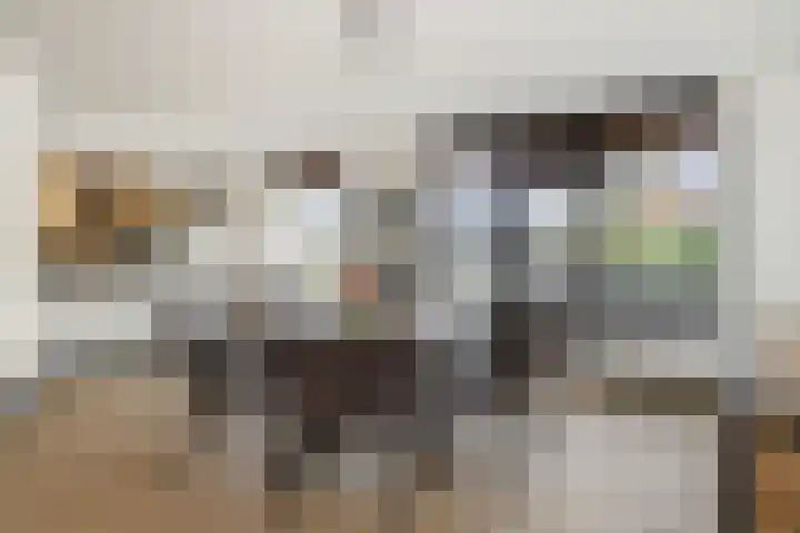 Almstein 19 Oss thumbnail 6