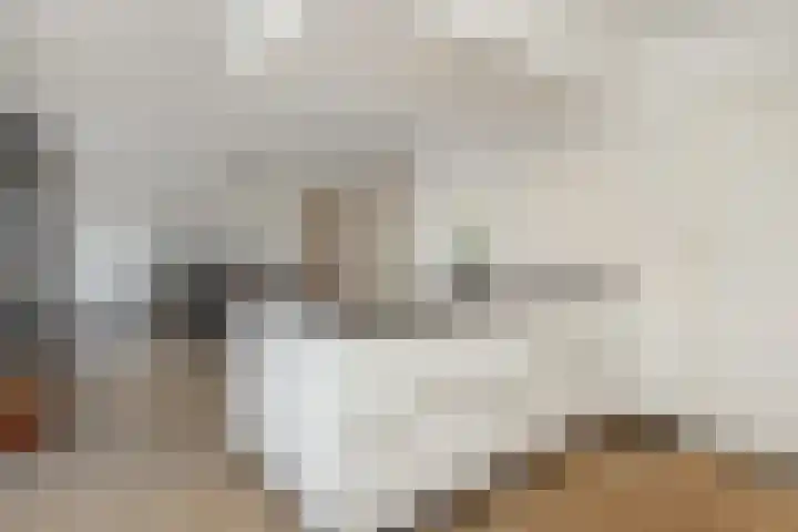 Almstein 19 Oss thumbnail 8