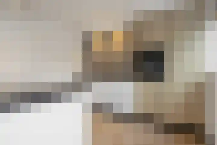 Almstein 19 Oss thumbnail 9