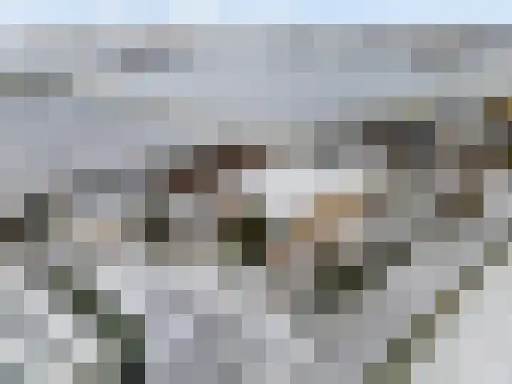 Alsemgeestlaan 7 dans 's-Gravenzande