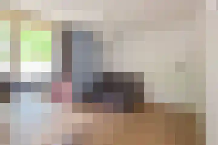 Alsemhof 11 Wierden thumbnail 16