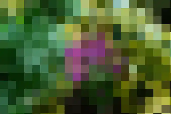 Alsemhof 11 Wierden thumbnail 19