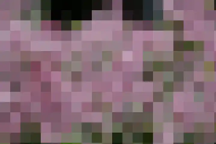 Alsemhof 11 Wierden thumbnail 26