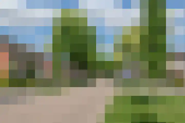 Alsemhof 11 Wierden thumbnail 29
