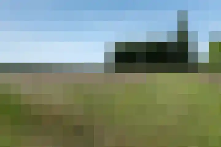 Alsemhof 11 Wierden thumbnail 31