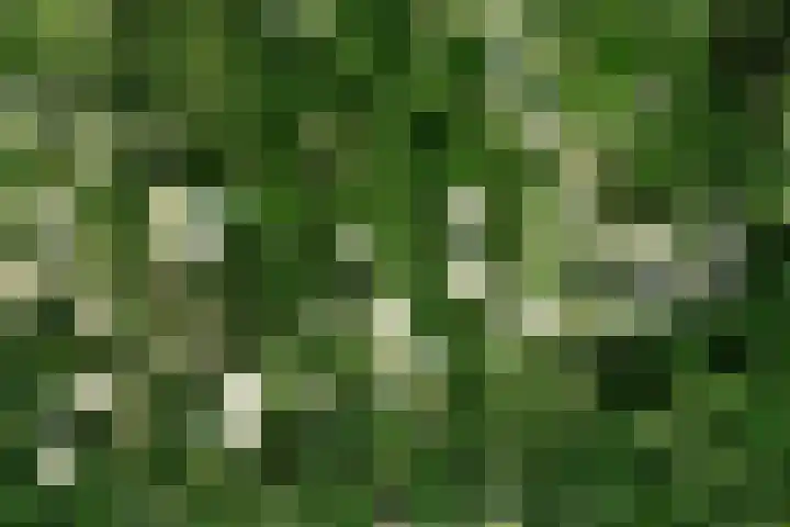 Alsemhof 11 Wierden thumbnail 31