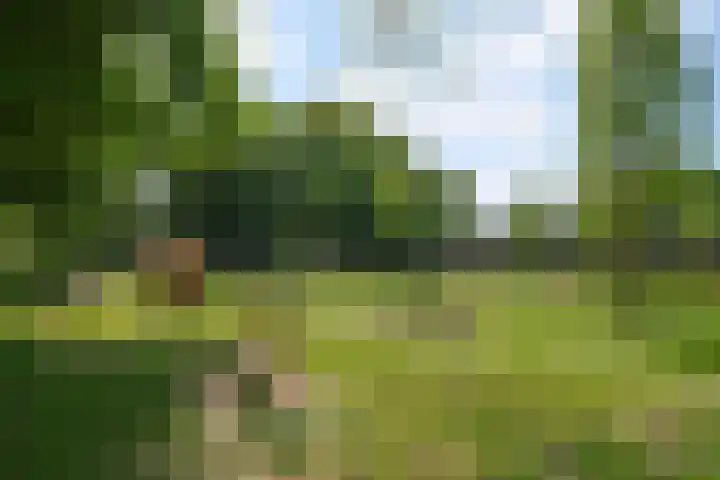 Alsemhof 11 Wierden thumbnail 32