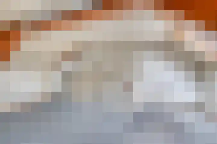 Alsemhof 11 Wierden thumbnail 39