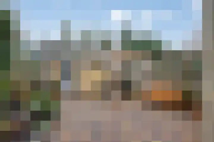 Alsemhof 11 Wierden thumbnail 4