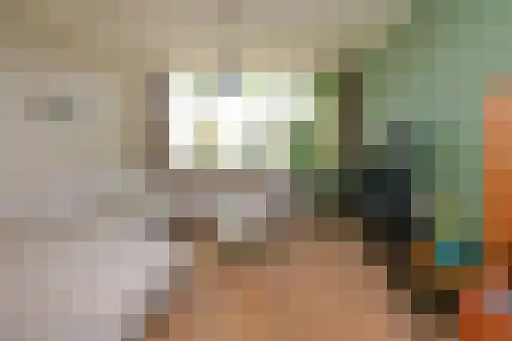Alsemhof 11 Wierden thumbnail 6