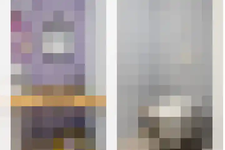 Alst 1 c Ewijk thumbnail 12