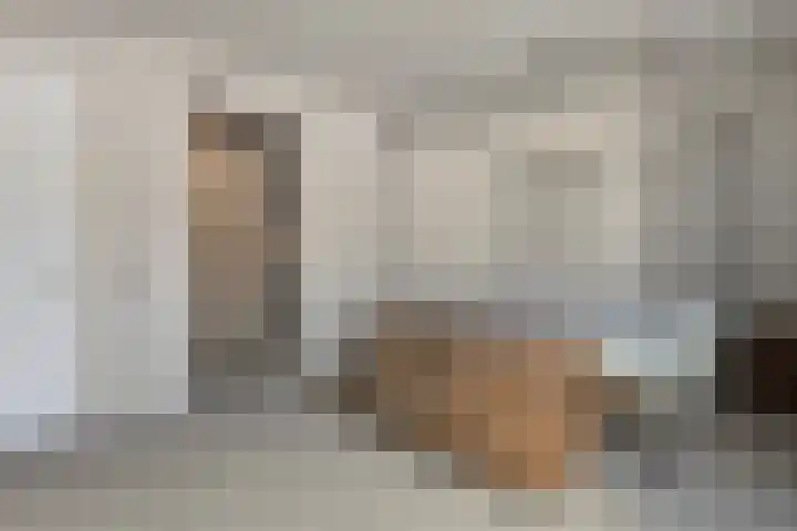 Alst 1 c Ewijk thumbnail 14
