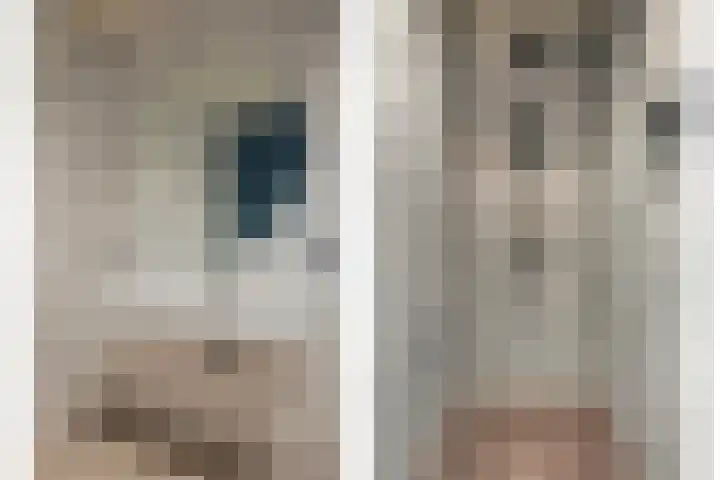Alst 1 c Ewijk thumbnail 20