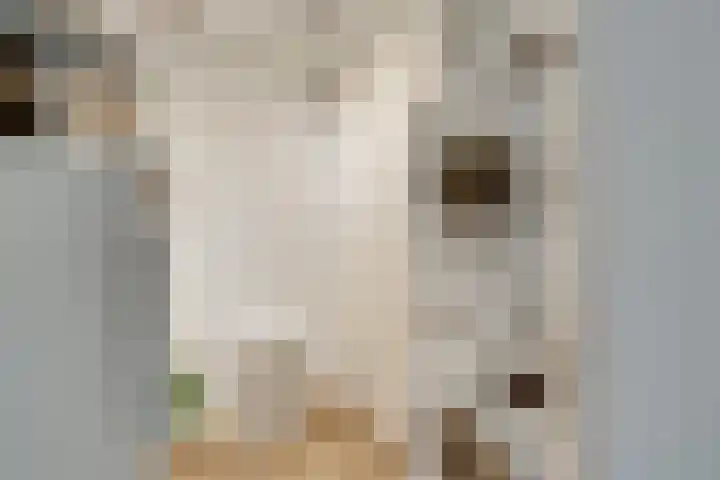 Altair 12 Purmerend thumbnail 43