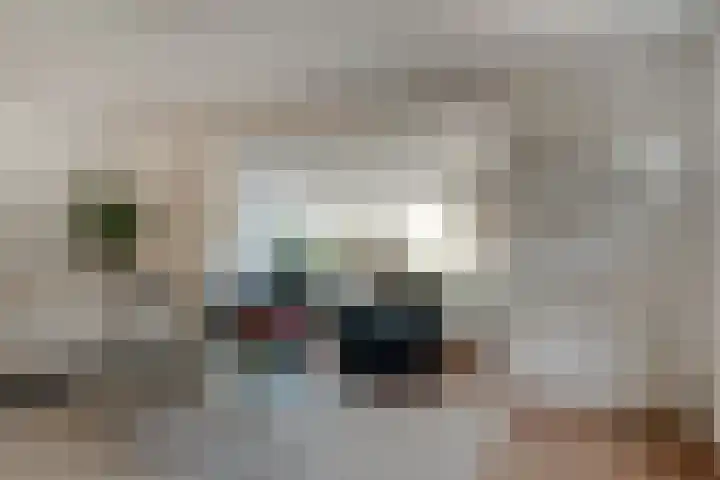 Altbroek 1 Zevenaar thumbnail 14