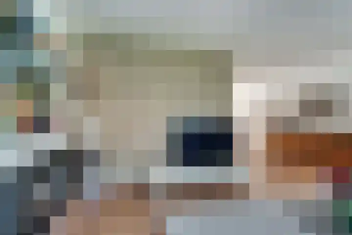 Altbroek 1 Zevenaar thumbnail 15