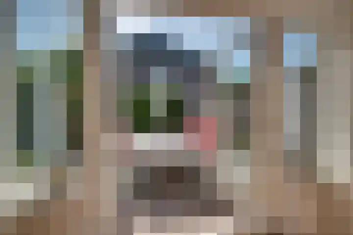 Altbroek 1 Zevenaar thumbnail 24