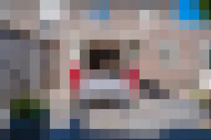 Altbroek 1 Zevenaar thumbnail 26
