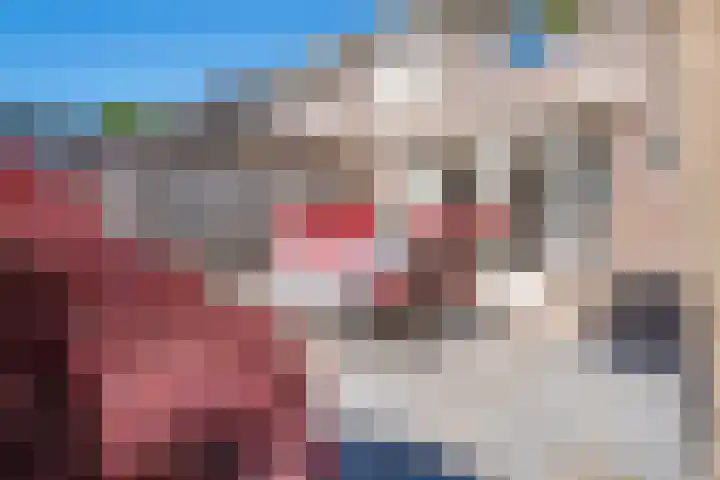 Altbroek 1 Zevenaar thumbnail 32