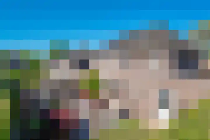 Altbroek 1 Zevenaar thumbnail 33