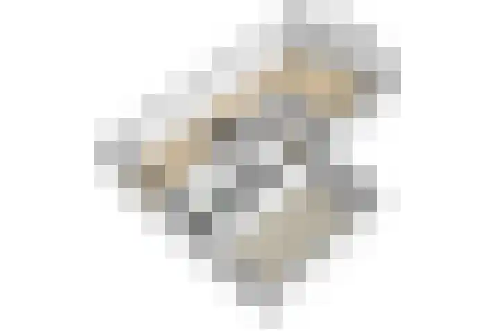 Altbroek 1 Zevenaar thumbnail 61