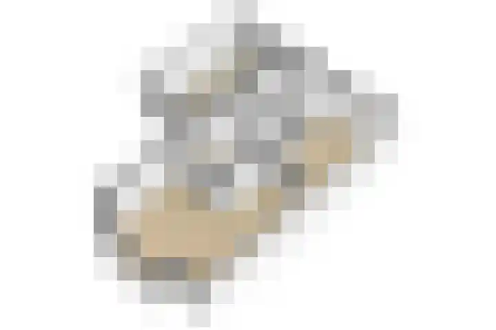 Altbroek 1 Zevenaar thumbnail 62
