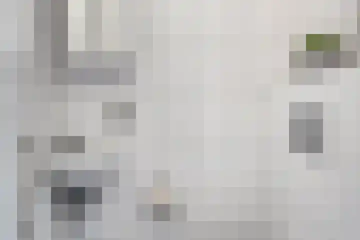 Altbroek 1 Zevenaar thumbnail 9