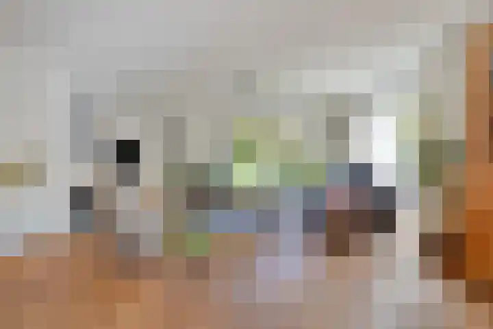 Altena 3 Gieten thumbnail 14